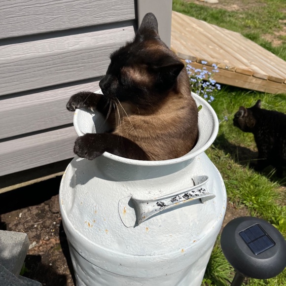 Meet your Posher, Susanne - Picture 6 of 16